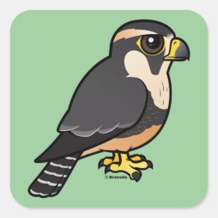 Sticker Carré ADiplomado Falcon