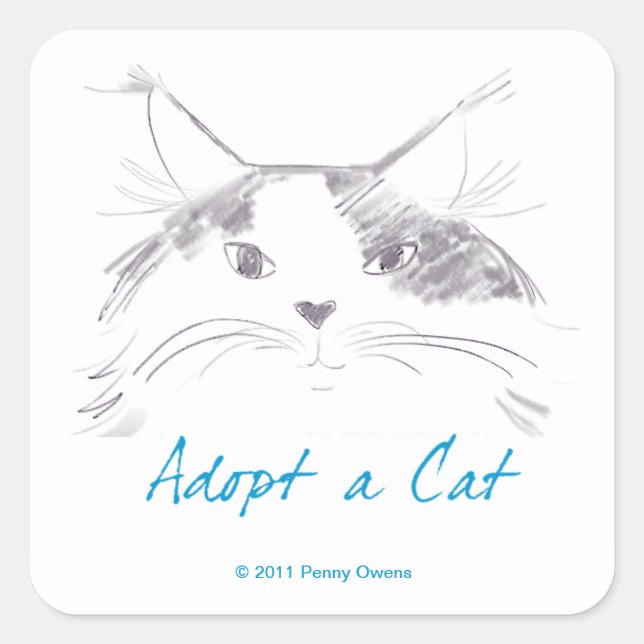 Sticker Carré Adopter un chat (Devant)