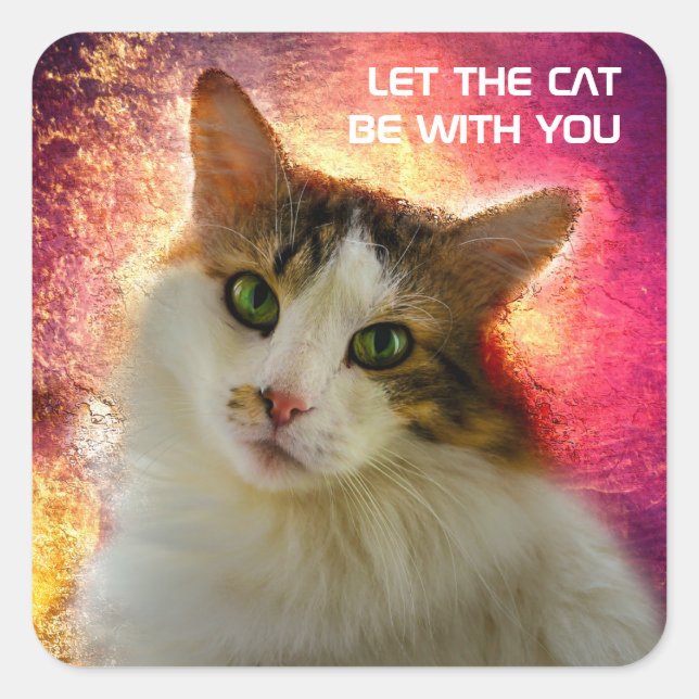 Sticker Carré Adorable Cute Calico Chat (Devant)