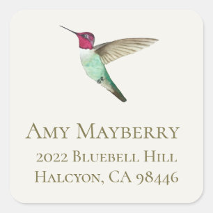 Sticker Carré Adresse de retour d'Anna's Hummingbird