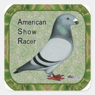 Sticker Carré Afficher le cadre de racer