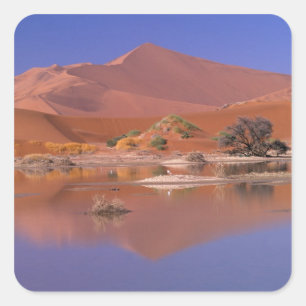 Sticker Carré Afrique, Namibie. Parc Namib-Naukluft. 2