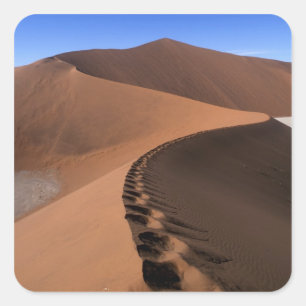 Sticker Carré Afrique, Namibie, Parc national du Namib Naukluft,