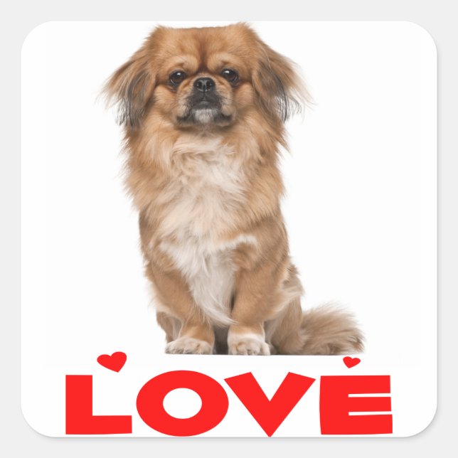 Sticker Carré Aimer Pekingese Chien Chien Chien Coeur Rouge Stic (Devant)