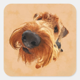 Sticker Carré Airedale drôle Terrier