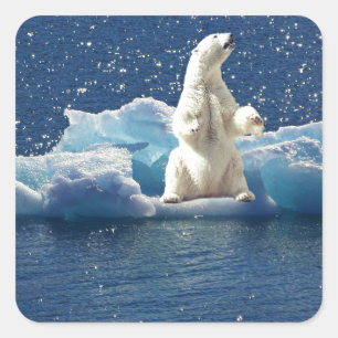 Sticker Carré Ajouter SLOGAN pour sauver les ours polaires Planè