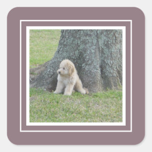 Sticker Carré Ajouter un modèle de photo personnalisé Raisin Vio