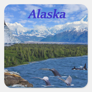 Sticker Carré Alaska