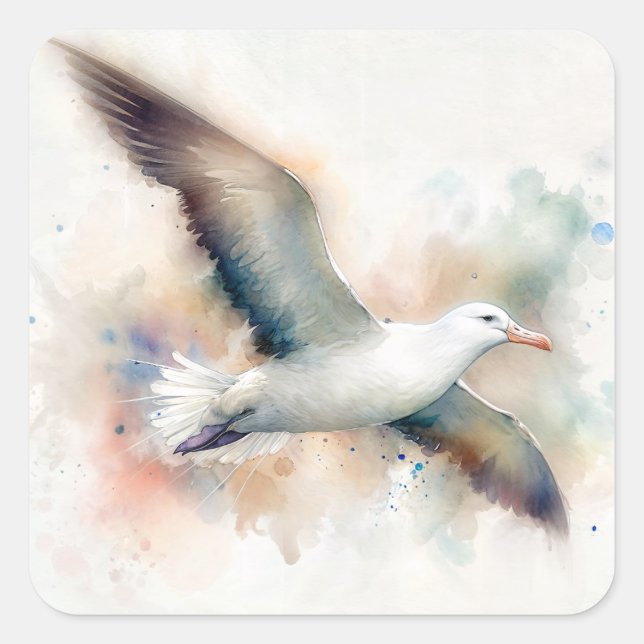 Sticker Carré Albatros Aquarelle Art (Devant)