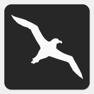 Sticker Carré Albatros blanc