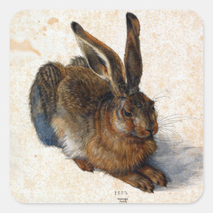 Sticker Carré Albrecht Dürer Young Hare