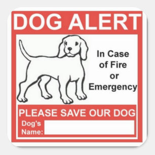 Sticker Carré Alerte de chien de services des urgences