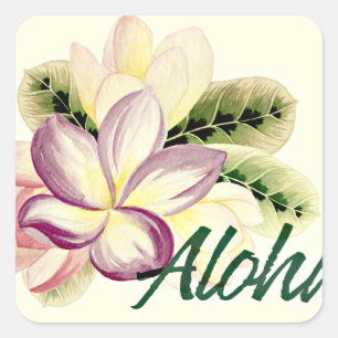 Sticker Carré Aloha Plumeria