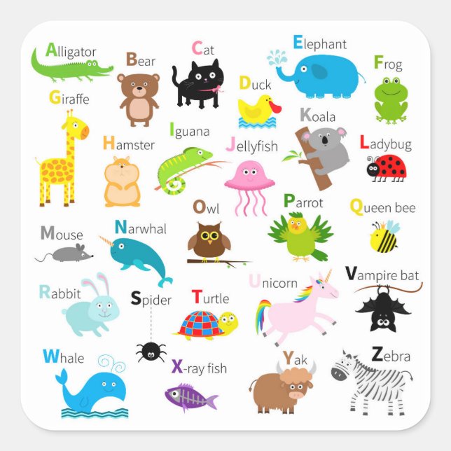Sticker Carré Alphabet avec des images et des lettres d'animaux (Devant)
