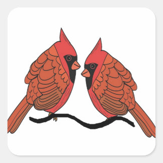 Sticker Carré Amateurs d'oiseaux cardinaux