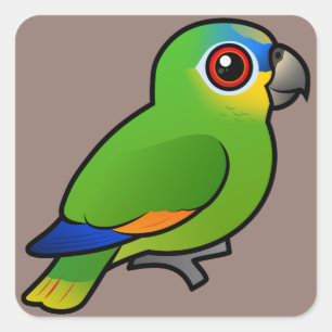 Sticker Carré Amazonie orangée