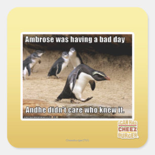 Sticker Carré Ambrose passait une mauvaise journée