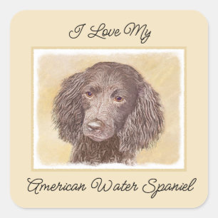 Sticker Carré American Water Spaniel Peinture - Original Dog Art