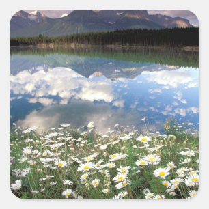 Sticker Carré Amérique du Nord, Canada, Alberta, Parc national d