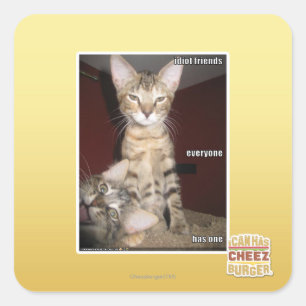 Sticker Carré Amis d'idiot