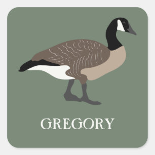 Sticker Carré Amoureux des oiseaux Illustration de bernaches du