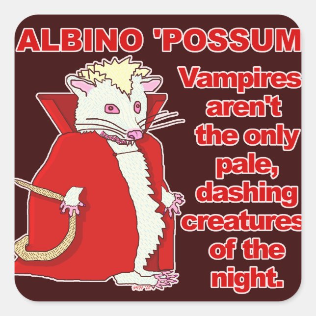 Sticker Carré Amusant Albino Possum Vampire animal (Devant)