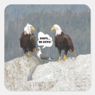Sticker Carré Amusants aigles et mouettes