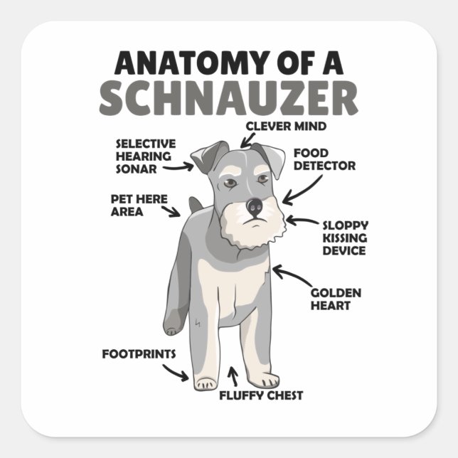 Sticker Carré Anatomie D'Un Chien Migneux Schnauzer Chien Chien  (Devant)