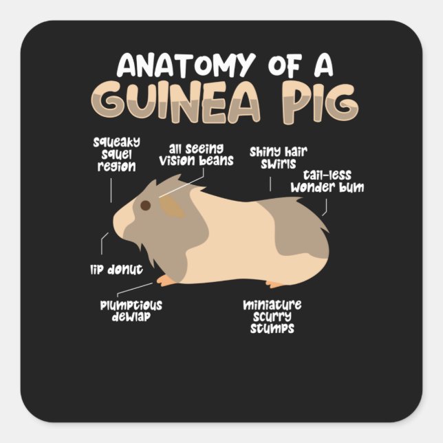 Sticker Carré Anatomie d'un cochon de Guinée (Devant)