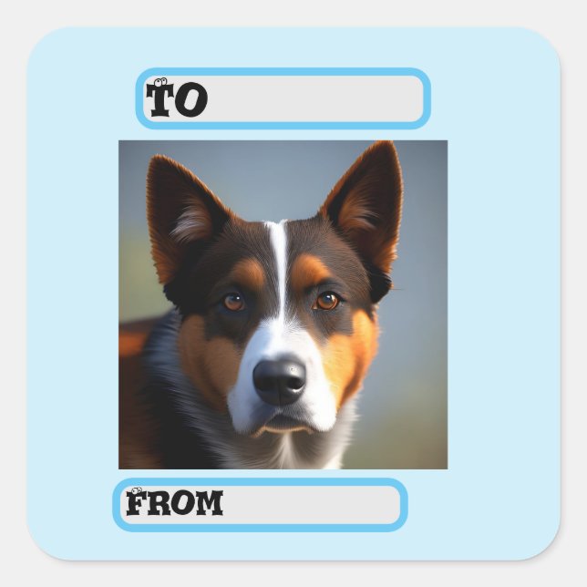 Sticker Carré Andy The Australian Blue Heeler, (Devant)