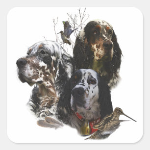 Sticker Carré Anglais Setter, chasse à la bécasse
