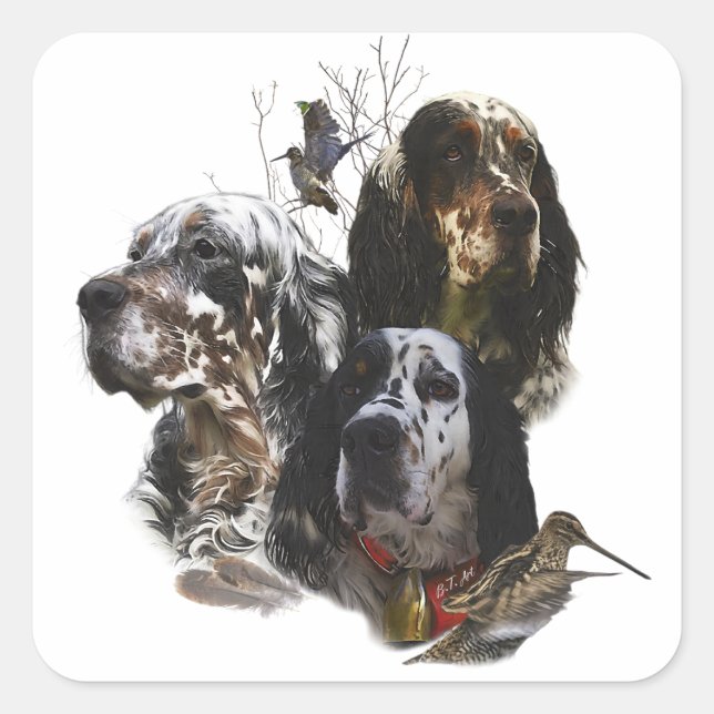 Sticker Carré Anglais Setter, chasse à la bécasse (Devant)
