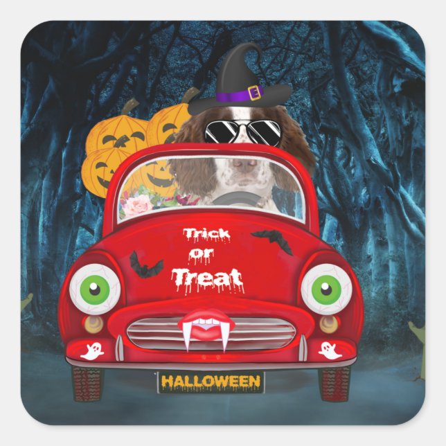 Sticker Carré Anglais Springer Spaniel chien Voiture Effrayant H (Devant)