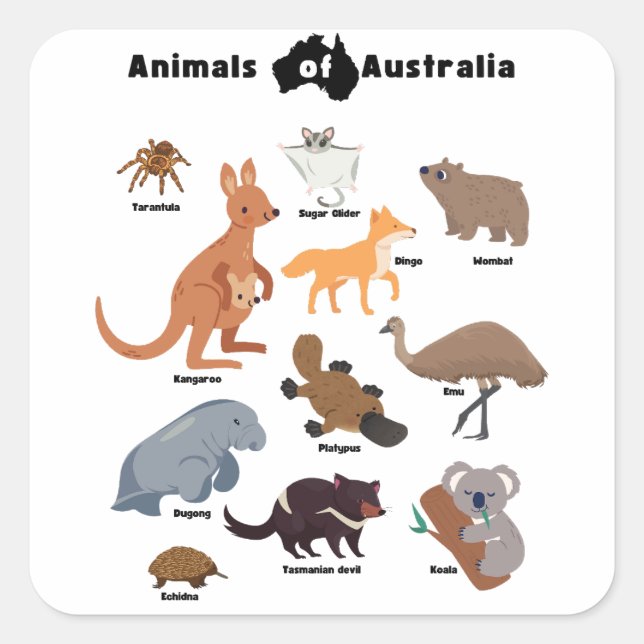 Sticker Carré Animaux de l'Australie faune australienne (Devant)