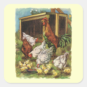 Sticker Carré Animaux vintages, Coq, Poules, Poulets