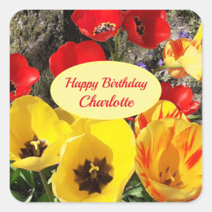 Sticker Carré Anniversaire des tulipes jaunes et rouges  
