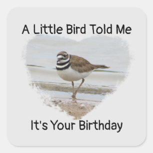 Sticker Carré Anniversaire Souhaite Petit Oiseau Sceau Enveloppe