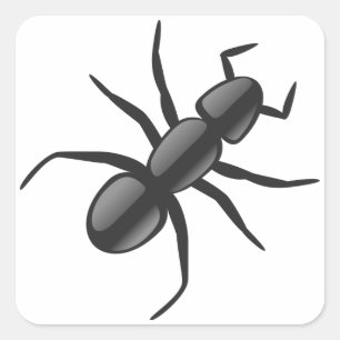 Sticker Carré Ant