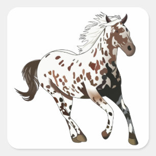 Sticker Carré Appaloosa Horse