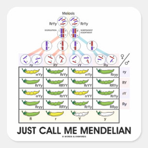 Sticker Carré Appelez-juste moi mendélien (la génétique carr