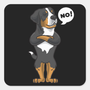 Sticker Carré Appenzeller Sennenhund têtu