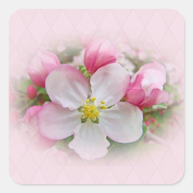 Sticker Carré Apple Blossom Time (Devant)