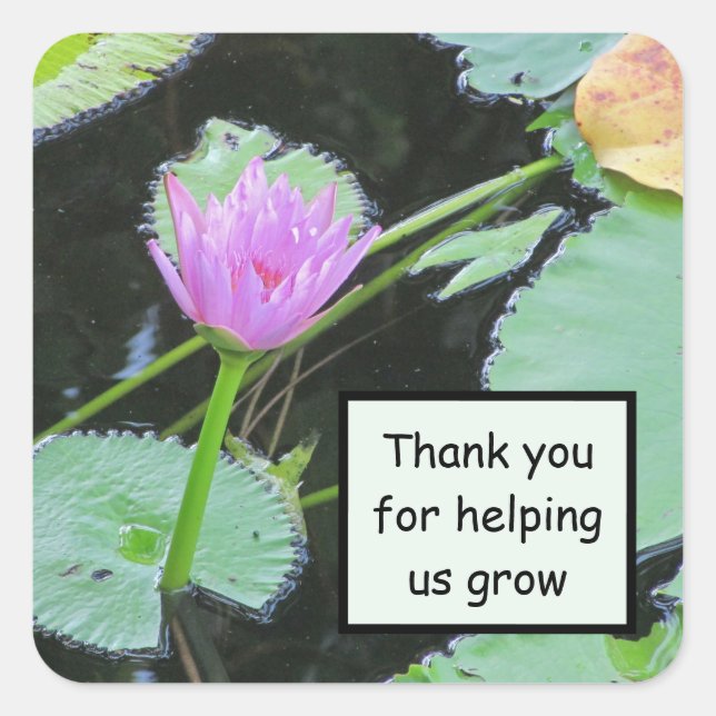 Sticker Carré Appréciation de l'employé Merci Lily d'eau rose (Devant)