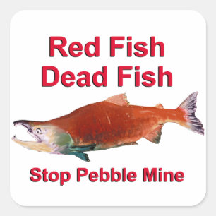 Sticker Carré Après Saumon - Arrêter la mine de galets