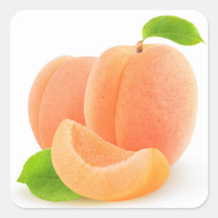 Sticker Carré Apricots