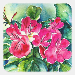 Sticker Carré Aquarelle azalée
