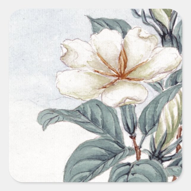 Sticker Carré Aquarelle blanc Jasmine (Devant)