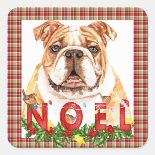Sticker Carré Aquarelle Bulldog Noel Noël