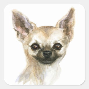 Sticker Carré Aquarelle Chihuahua Chien Chiwawa Fur Mama