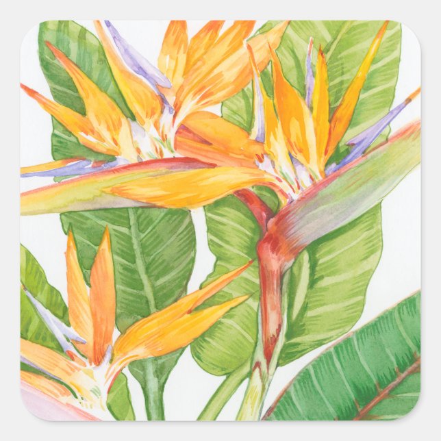 Sticker Carré Aquarelle de fleurs exotiques (Devant)